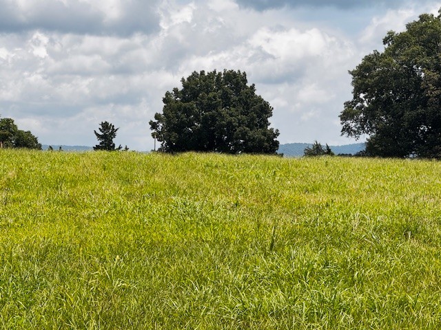 Peaceful County Lot With Beautiful Mountain Views!!  Discover the perfect place to build your dream home on this stunning vacant lot nestled in the quiet countryside. Surrounded by natural beauty this lot offers wide open space, fresh air, and lovely mountain views that change with the seasons. With ample space for your custom build, a garden, or small hobbies, the possibilities are endless.  Soil study has been done and waiting for it to come back.  No barndo's, no mobile homes, and a 1500 sq ft. minimum.