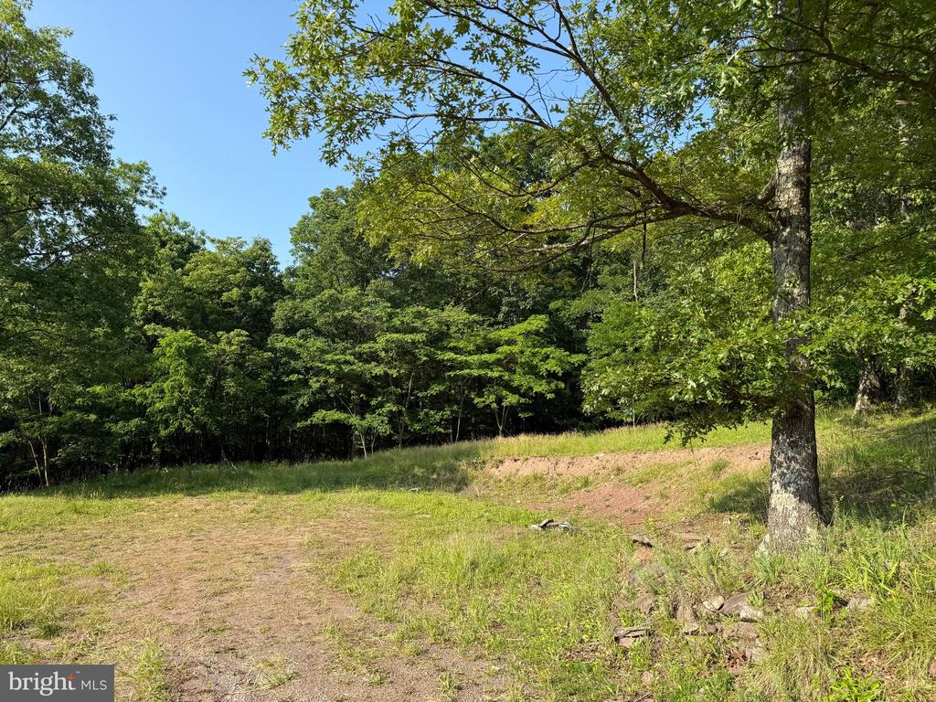 Numerous possibilities exist! 8.29 acres with well, septic, and electric are being sold in their current condition. This property has the potential to become an ideal site for a mobile or stick-built home. Alternatively, the land can be utilized for camping and hunting. The property is situated along a state-maintained road and is in close proximity to Sleepy Creek Wildlife Management, which spans 23,000 acres and offers hunting, fishing, hiking and more!