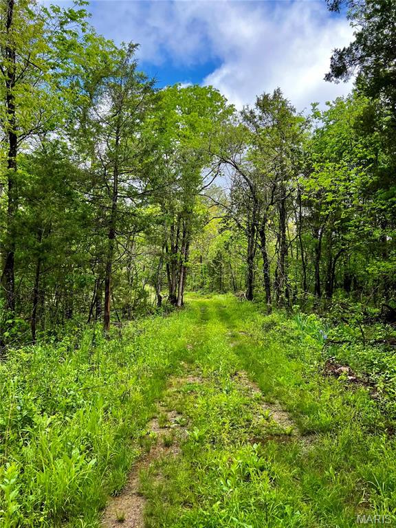 382 Furnace Creek Road