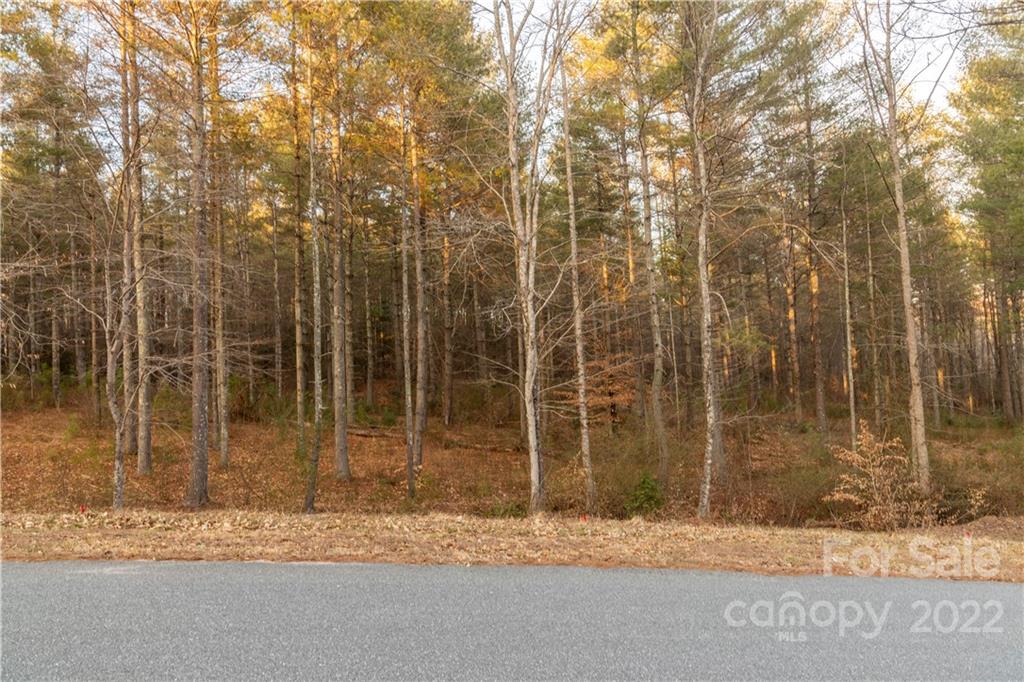 Search Results for Lake James Real Estate, NC Waterfront Homes, Land