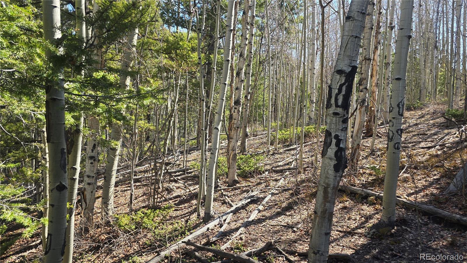 Lot 6708 Debbie Road
