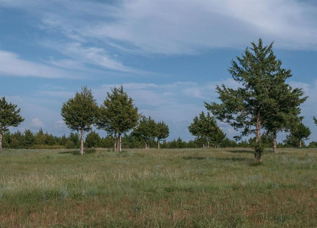 The Acres at Selah are where quiet escape meets front porch living. 3 acres m/l in highly sought after Selah community is a gem for sure. Bring your custom plan and meet with one of builder's to start on your dream home. Schedule a tour to day for all things Selah, the current amenities and the things to come. Come grow with us!