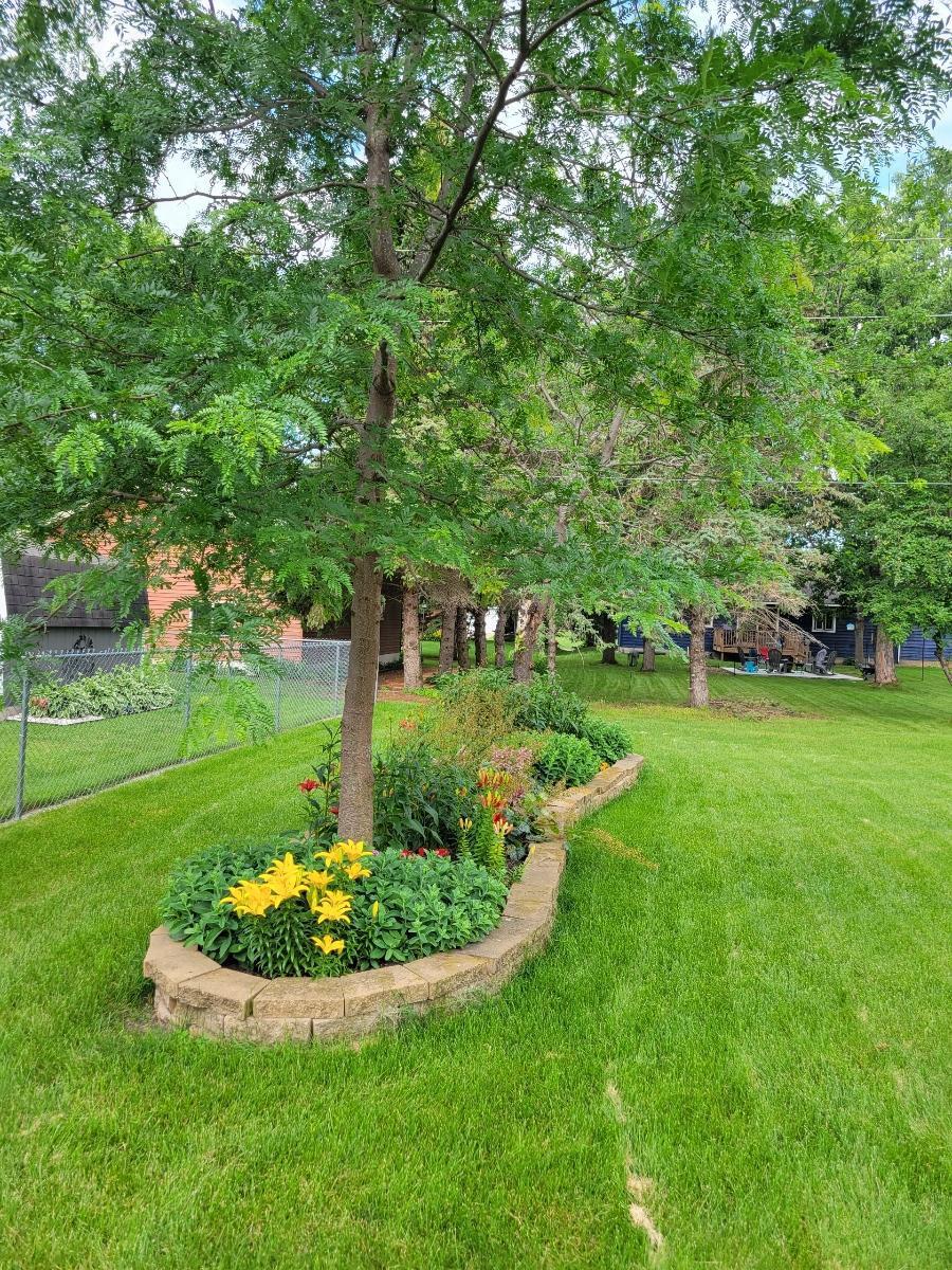 1347 Cottonwood Road