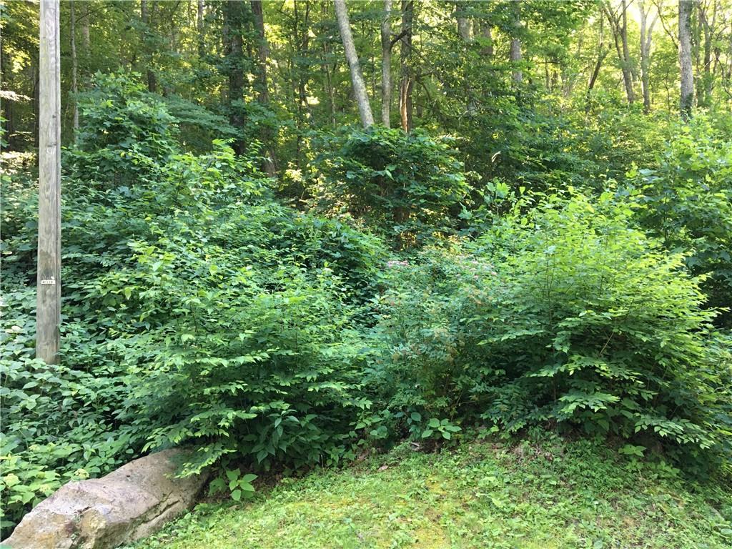999 Red Oak Forest Road