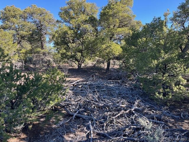 Lot 4 Elk Park Road