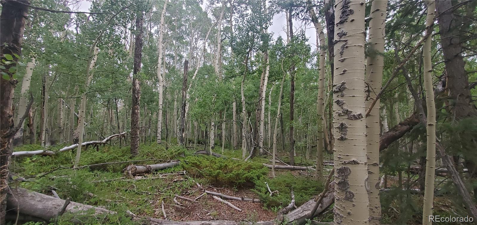 Lot 5837 Sheldon Road