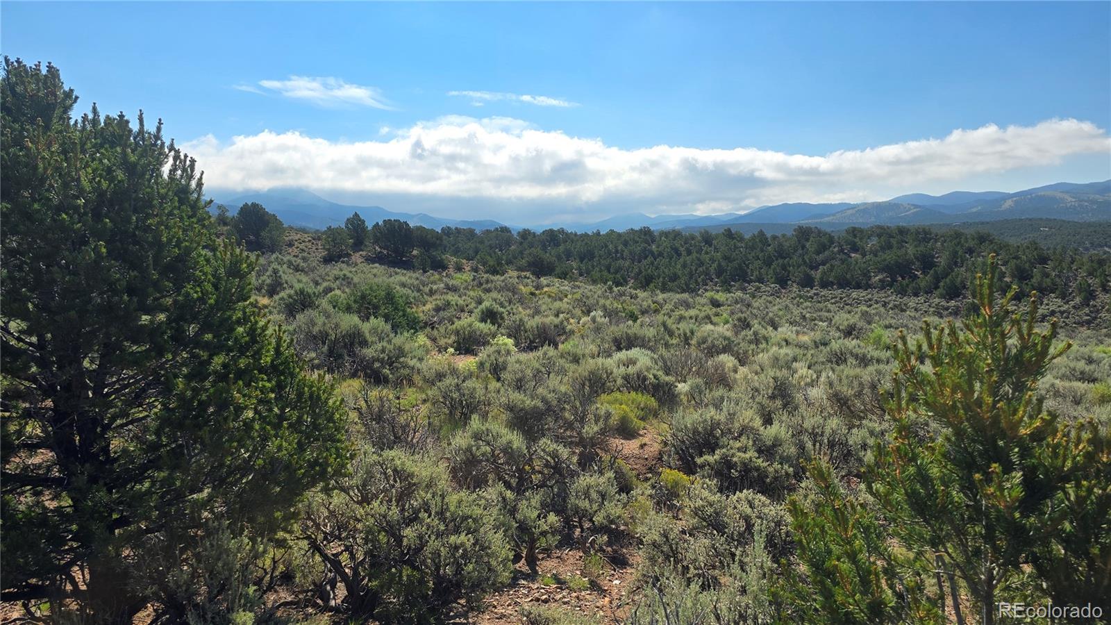 Lot 4296 Renfield Road