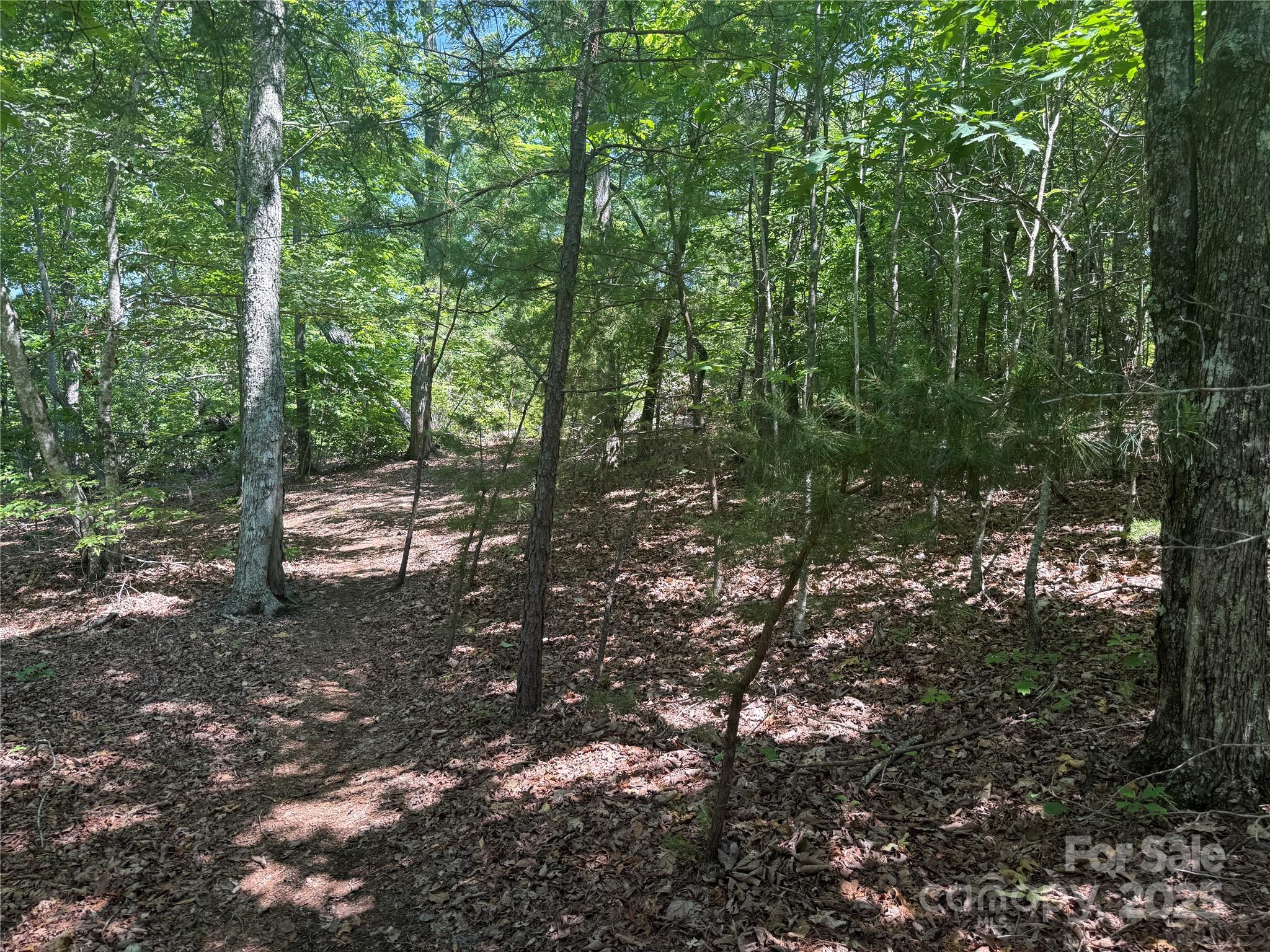 0 Crescent Ridge Lane 373
