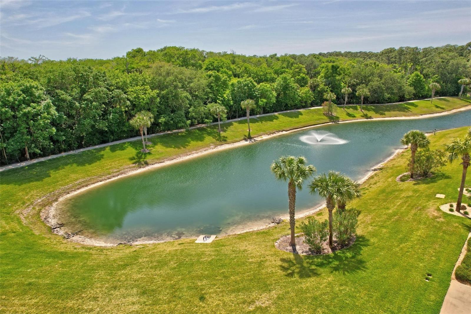 1100 Canopy Walk Lane 1111