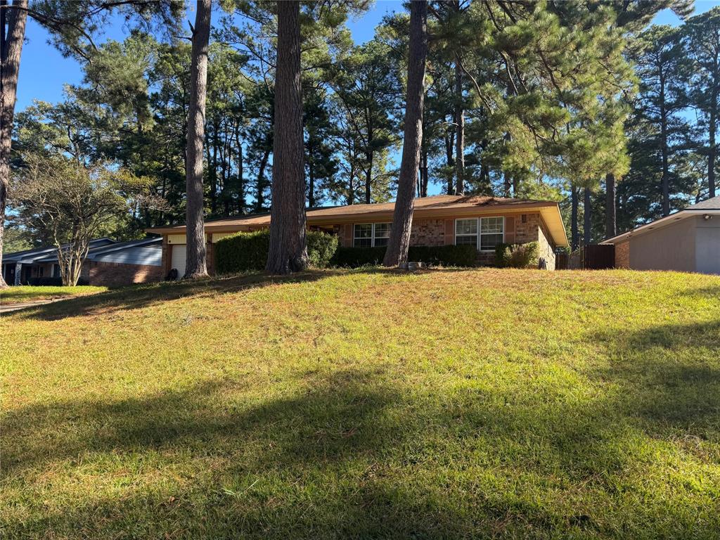 9425 Pitch Pine