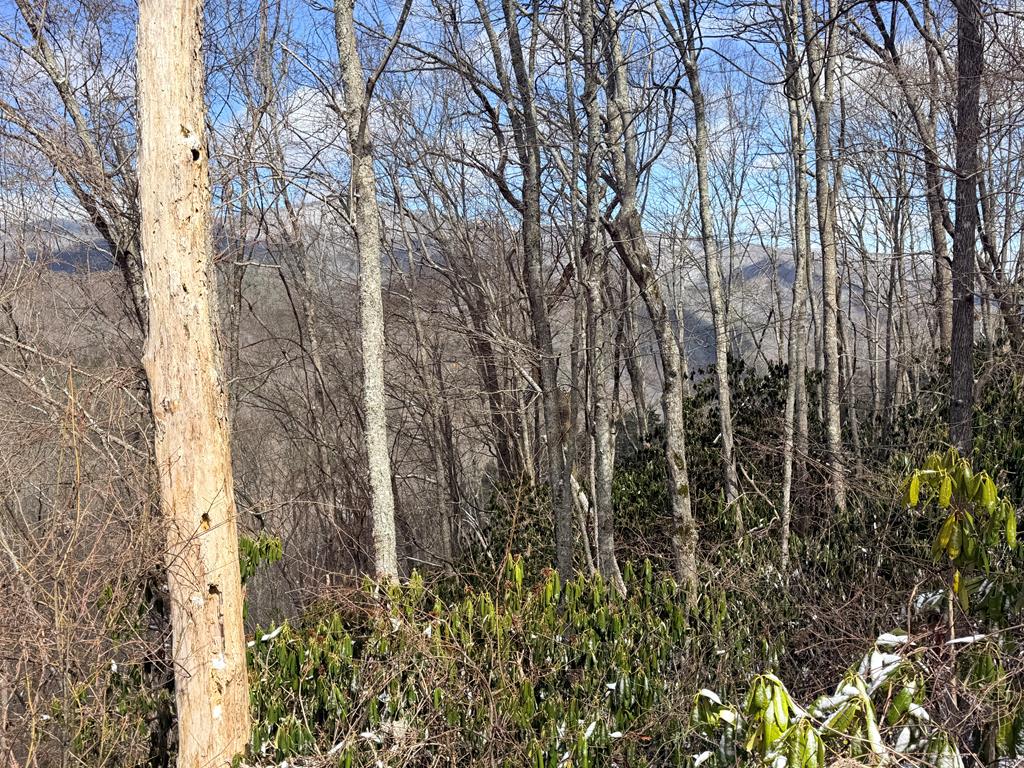 Great location near the Nantahala Gorge, with easy access to Bryson City and Andrews, NC—a perfect spot for your mountain getaway.