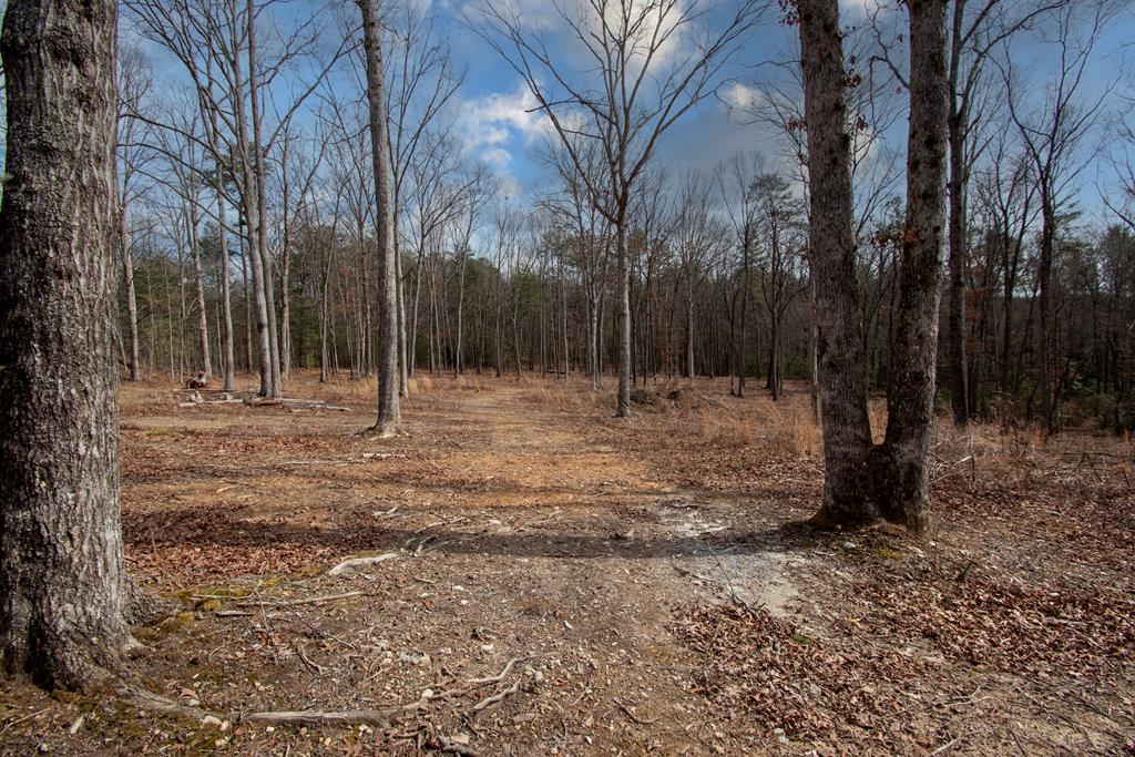 Bring your RV's! This 2.8-acre wooded tract features gentle terrain, light restrictions, and RV-friendly flexibility. Power is already in place for your weekend camp site or new home. Paved, county road footage brings you directly to the property and there is a rough driveway cut in. Whether you're looking for a full-time homesite or a weekend retreat, this property offers flexibility and convenience in a peaceful setting.
