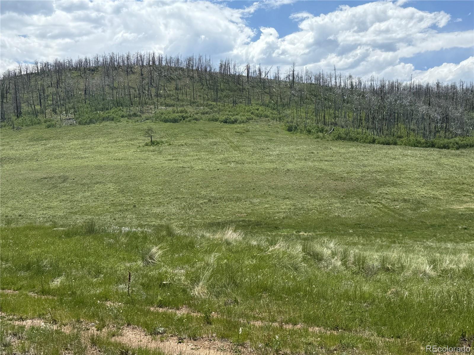Lot 428 Powers Road