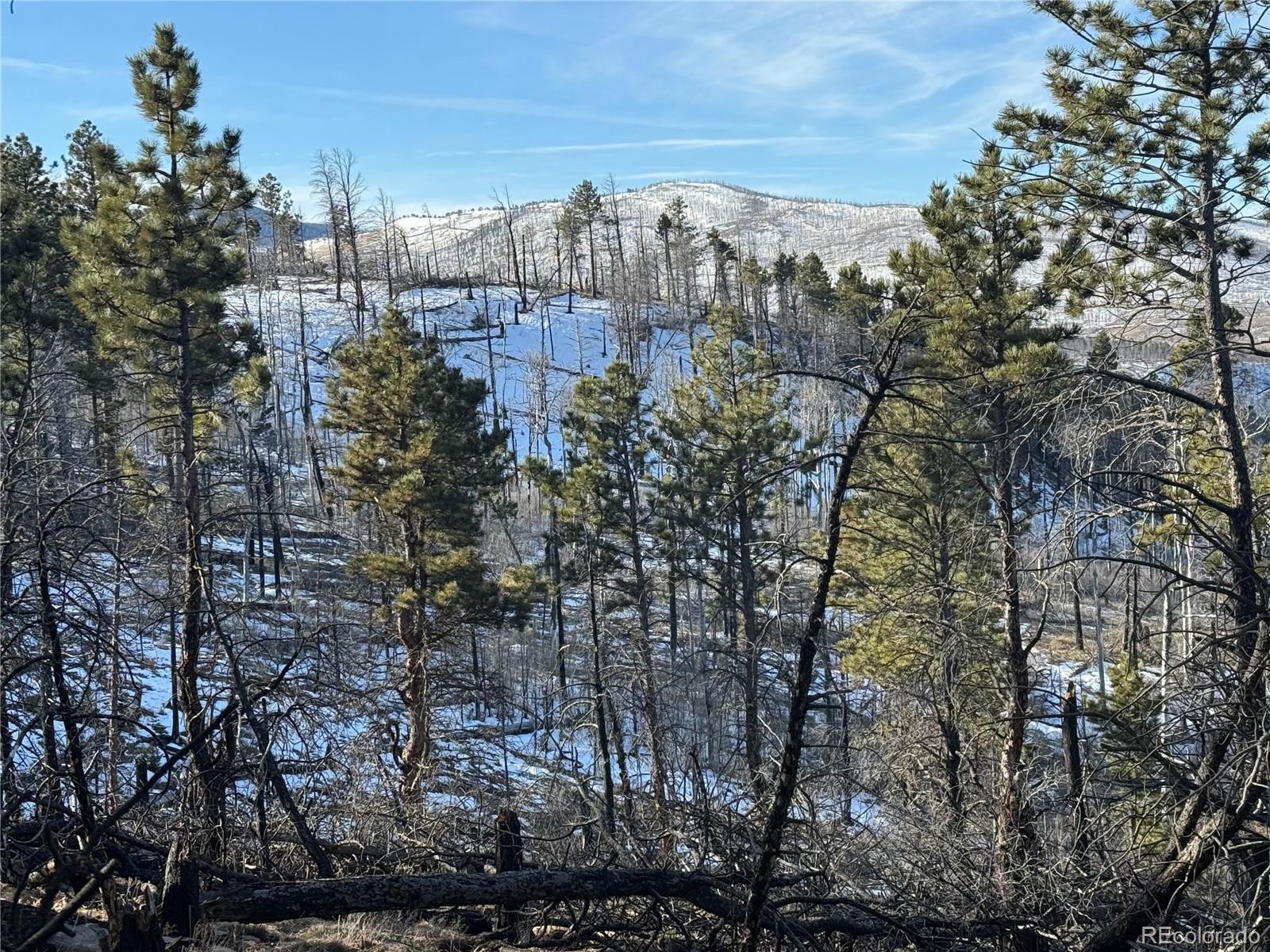 Lot 356 Spangle Drive