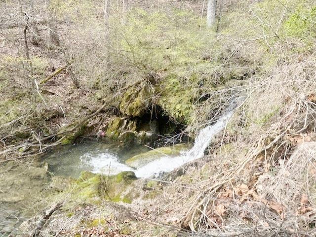 1.114 acre lot located in the Town of Wytheville. No known restrictions.  Water flows onto this property.
