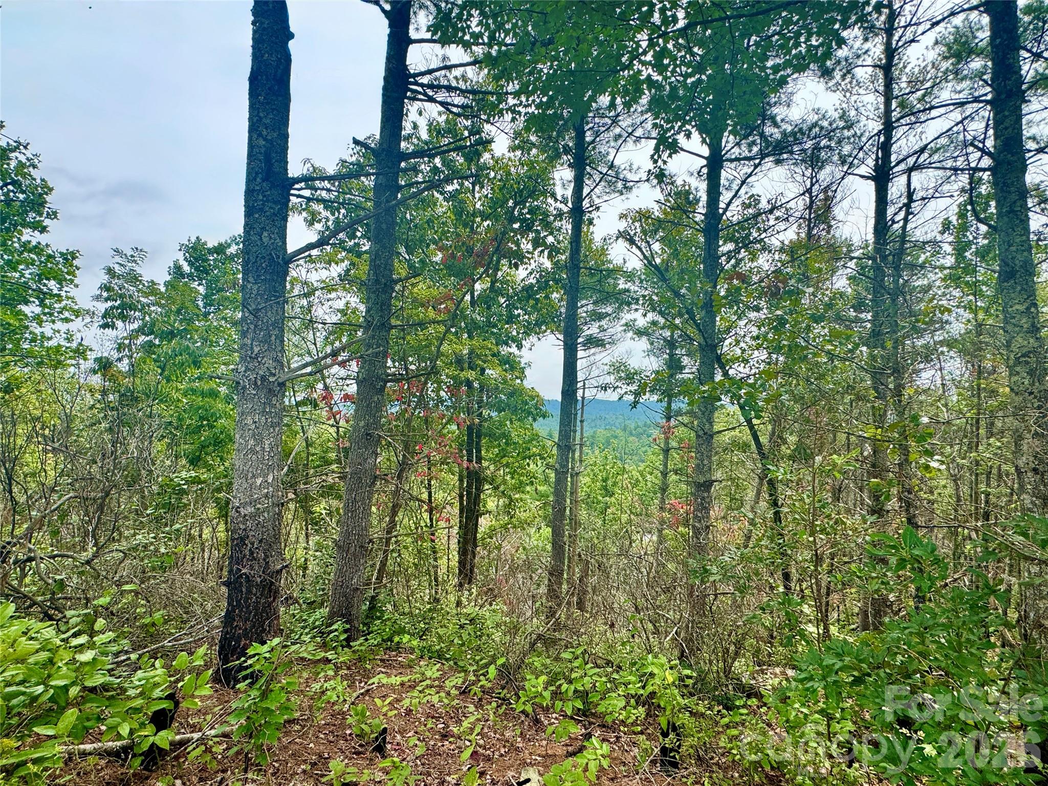 1.46 acres, Lot 48 Tomahawk Ridge Drive Lot 48