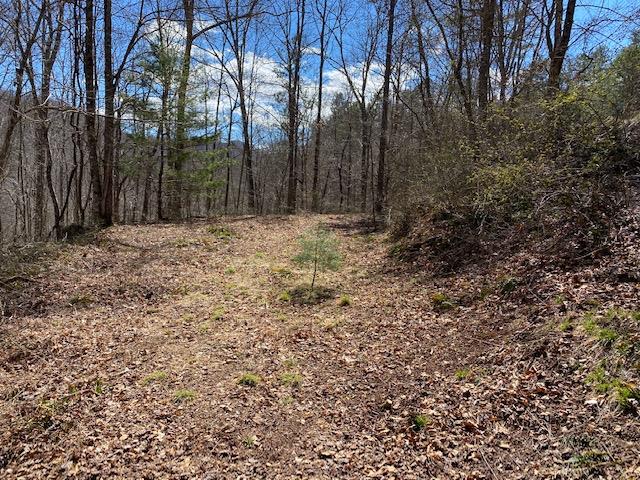 Cane Creek