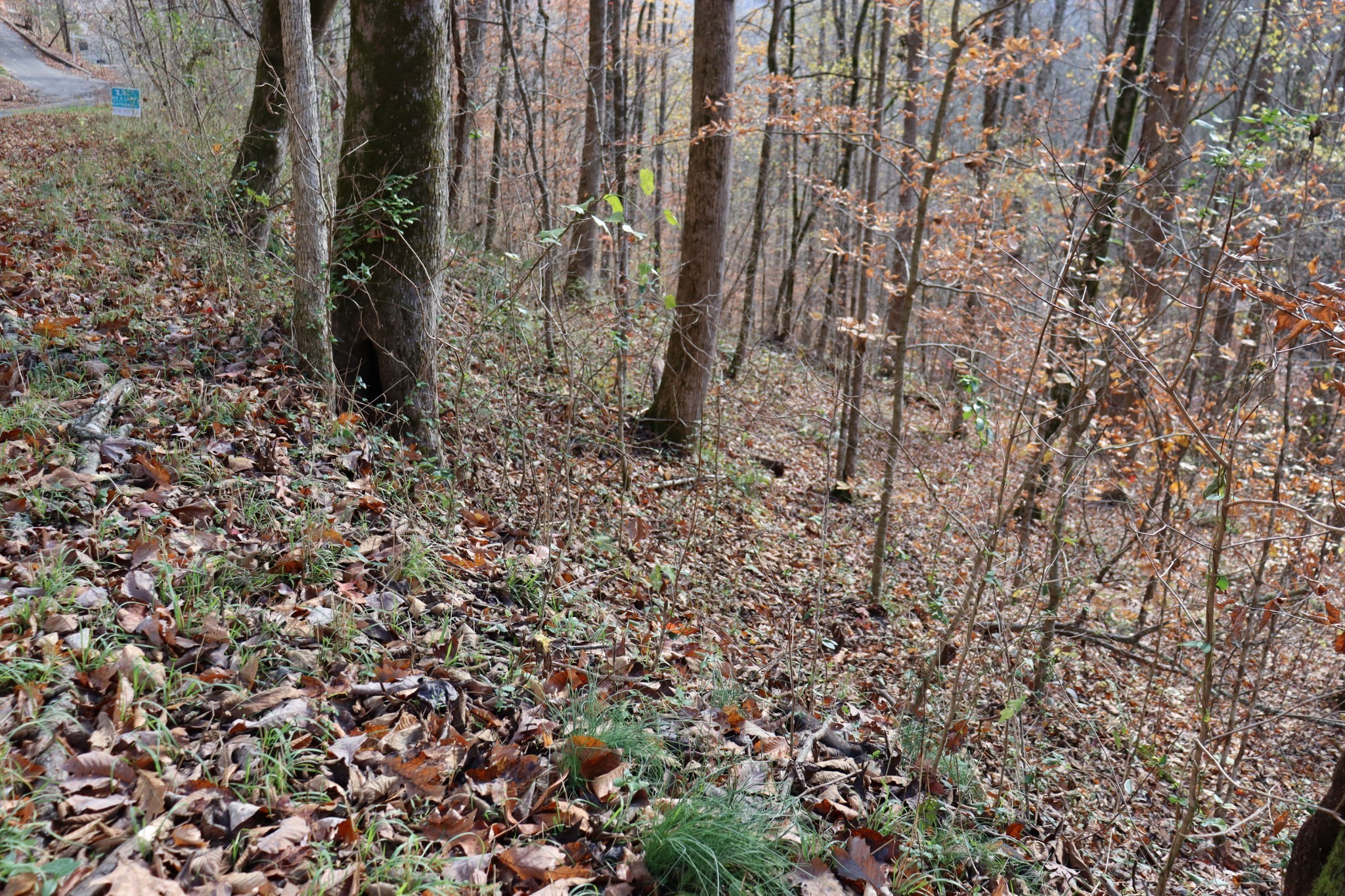 Two connecting lake lots for one price! These lake lots are approximately 0.74 of an acre in size and has two road frontages, Cherokee Dr/ Easy St & Holiday Haven Dr, providing ample space and options to build a comfortable and spacious lakeside home or vacation rental property.  The lot is situated in a developing area that includes a boat ramp, additionally, there are full-service marinas nearby.   The development has a voluntary HOA fee of $50 annually, light restrictions in place to protect the natural beauty of the area and ensure a peaceful and enjoyable environment for all.