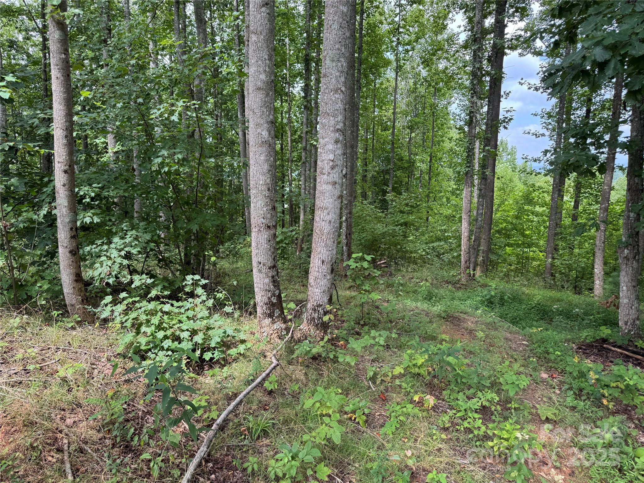 2.01 acres, Lot 971 Soaring Top Lane 971