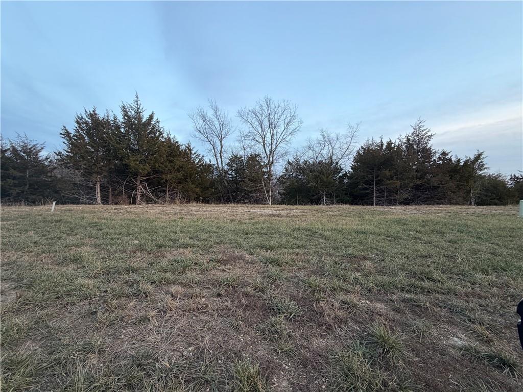 Sold before processing. Roeser Homes Rosebud plan, walkout lot backing to trees.
