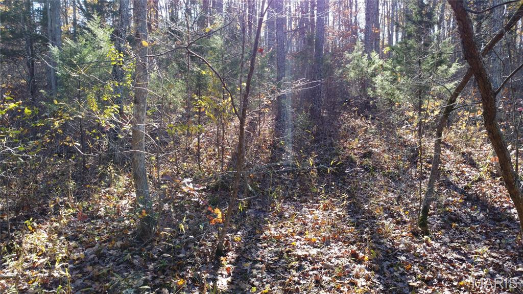 10256 Christina Trail