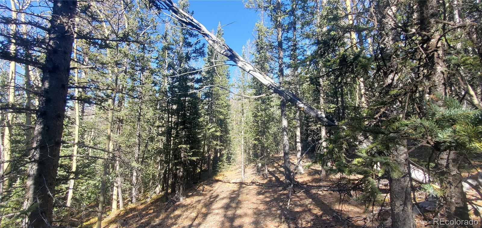 Lot 6581 Ackerman Road