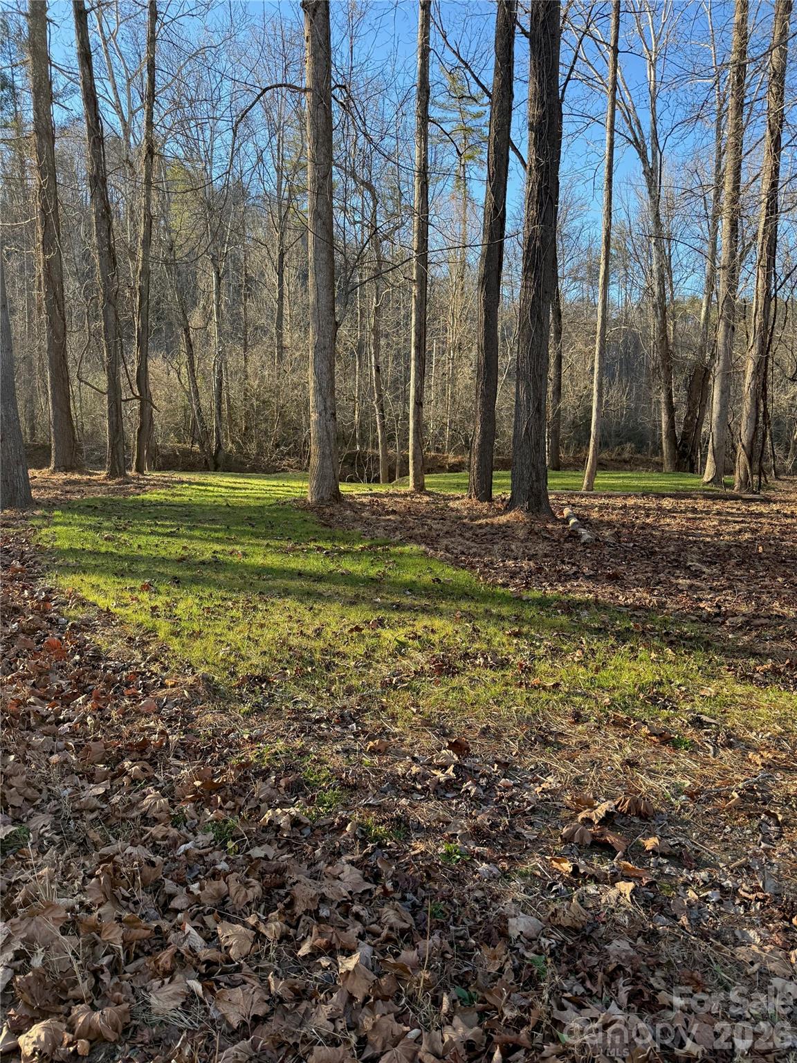 5915 River Hollow Trail 758