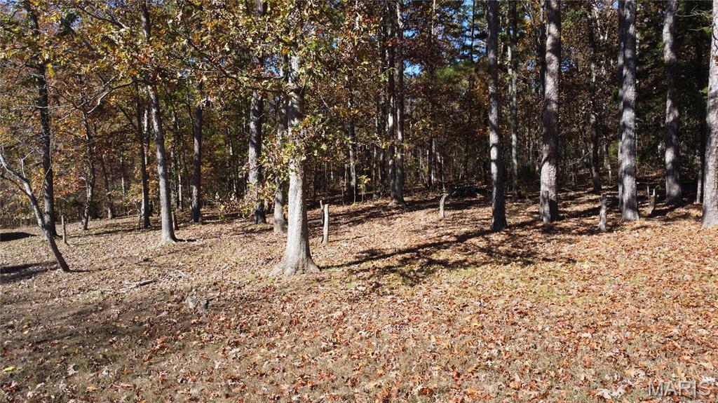 10256 Christina Trail