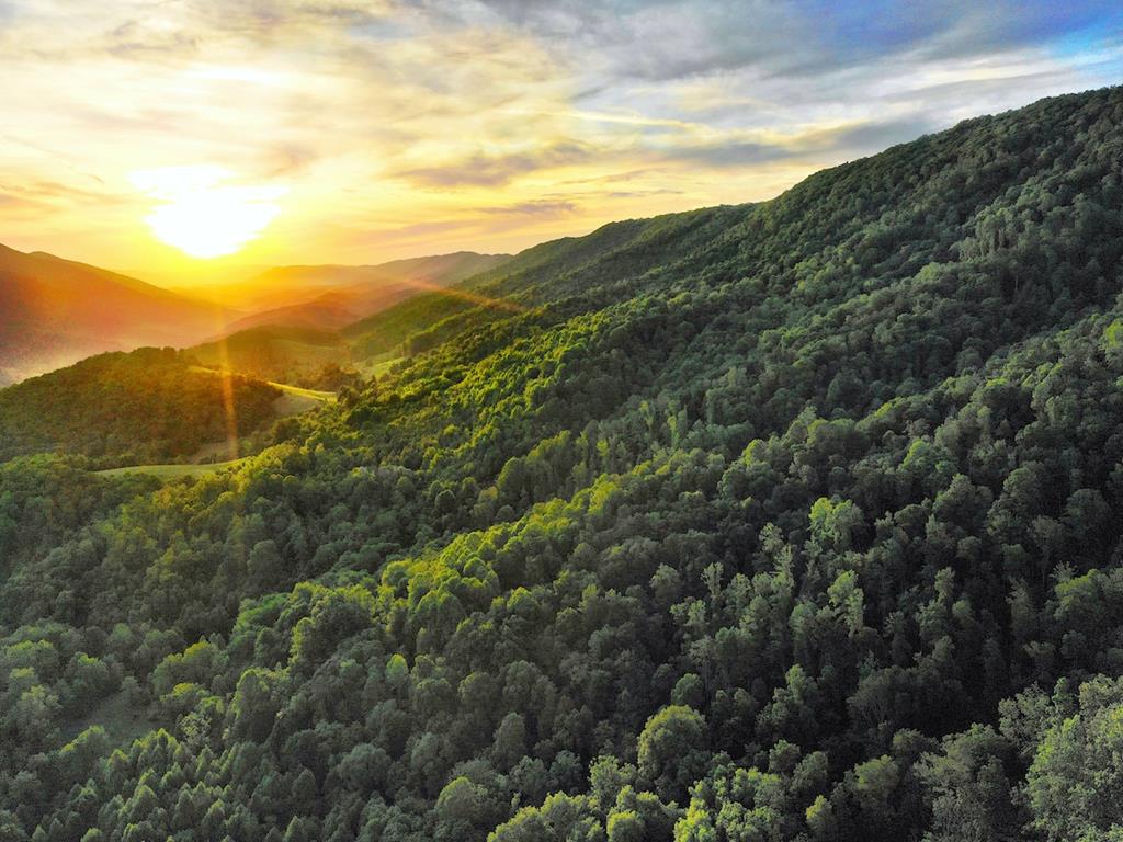 Humans seek land, but land seeks stewards. 414 Niday Drive is a profound calling to protect a spectacular slice of the Blue Ridge. Spanning 590+ contiguous acres across three parcels, this legacy investment is where world-class outdoor recreation meets absolute self-sufficiency. The main residence—a 1,400 sq ft, 4-bed brick ranch—radiates high-end country comfort with custom wormy chestnut built-ins, rustic living room beams, and radiant floor heat. Directly on the banks of Wolf Creek sits a historic, circa-1920s hand-hewn log cabin featuring a covered front porch overlooking 3,000 ft of Class A trout stream stocked 8x/year. An adjacent flat grove is perfect for private camping, RVs, or future eco-tourism. The mountain property has not been hunted in years, creating an undisturbed sanctuary for deer, turkey, and black bear. The forested acreage is a Certified Tree Farm boasting valuable, mature timber stands of Oak, Hickory, Walnut, and managed White Pine. Multiple scenic ridges offer additional building sites, including a premier location at 2,500 ft elevation with power and spring water already hooked up. Demonstrating agricultural excellence, the land features 31 acres of pasture, with 16 acres fenced and supported by an automated livestock water system. Multiple barns and outbuildings provide ample infrastructure. The estate is strategically zoned to balance freedom and preservation: the main home (1.39 ac) and cabin (67.4 ac) tracts are out of easement, while the mountain tract (521.3 ac) is protected by a Virginia Outdoors Foundation conservation easement that explicitly allows for future subdivision, timber harvesting, and multiple structures. Though entirely secluded, you are just minutes from downtown Narrows, under 30 minutes from Wytheville, Bluefield, Pearisburg, and Bland, and under an hour to Blacksburg. It's also just a short drive to the Jefferson National Forest and the Appalachian Trail. Step into a true land stewardship legacy. By Appointment Only