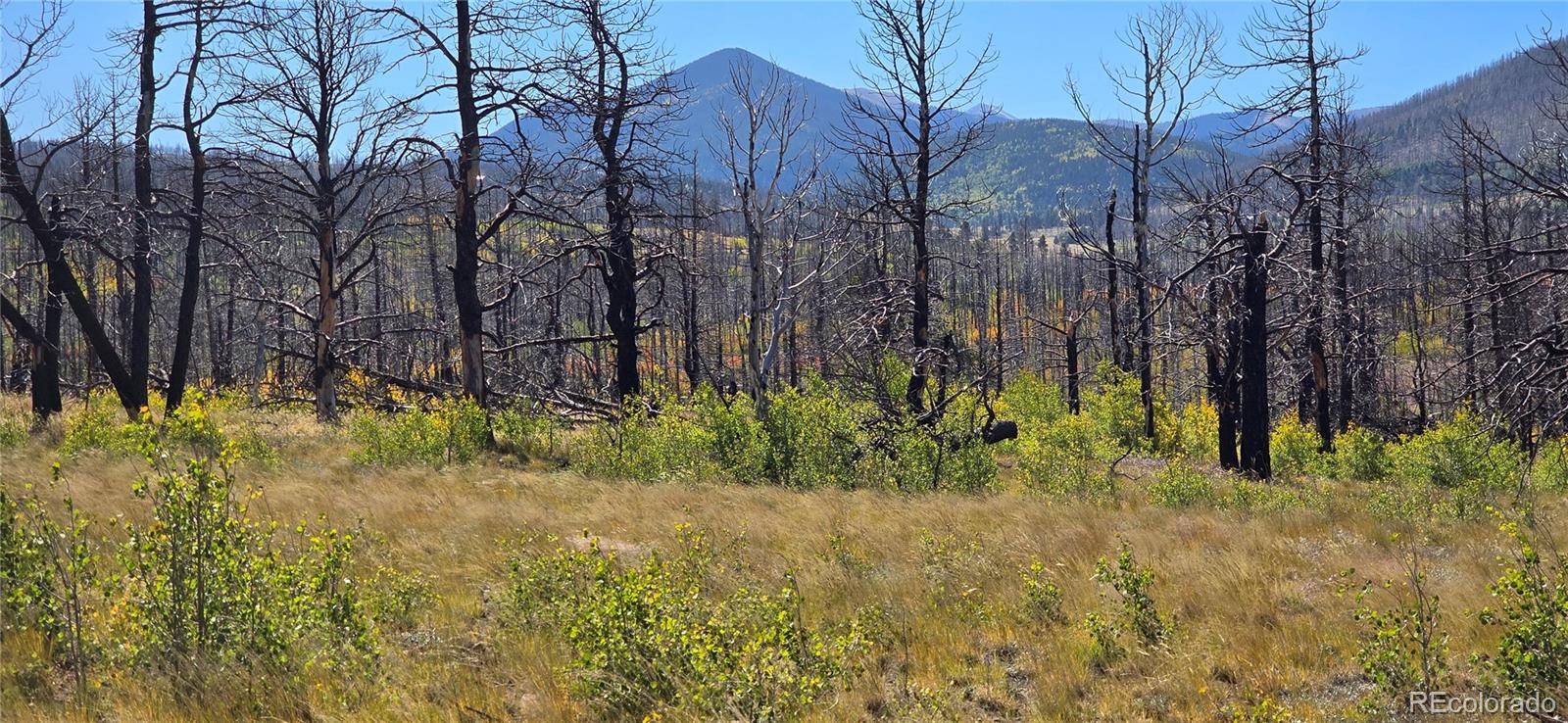 Lot 1684 Emery Loop