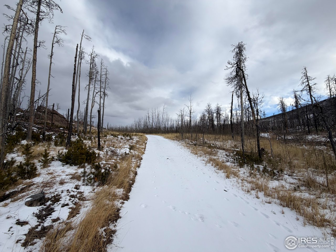 WELCOME TO CRYSTAL MOUNTAIN, over 40 acres of mountain privacy at the end of the road with National Forest Frontage for over a 1/4-mile, Behind locked gate for added feel of privacy, Fantastic access to forest service on jeep trails, No HOA, just a road agreement and dues of $150 per year, Damaged by Cameron Peak Fire in 2020. The aspen trees are at least five feet tall now and the baby pine trees are everywhere, The regrowth is amazing. Gentle land with a few rocky outcroppings, Super place for a remote mountain home or hunter's cabin. Go Solar and Starlink, no power, Ag taxes of less than $15 year, Come and take a closer look. Watch the Lodgepole Pine trees grow back, This could be your 40-acre family tree farm