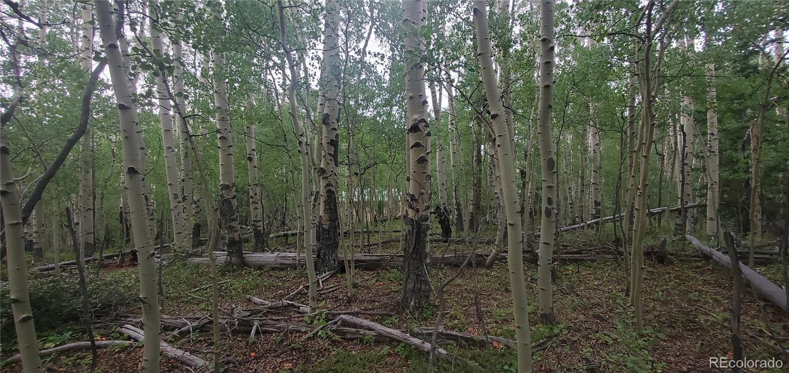 Lot 5837 Sheldon Road