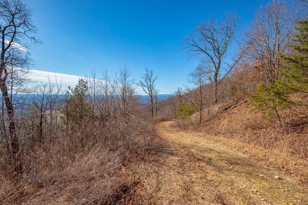 Lot 106 offers an incredible opportunity to own your own piece of the mountain at an affordable price. Whether you're looking for a long term investment, a future homesite, or a chance to get in on the ground floor of a growing mountain community, this property deserves a closer look. Enjoy breathtaking mountain views along with access to outstanding community amenities, including a stocked fishing pond, a scenic waterfall, and a charming covered bridge with a picnic area for family and friends to enjoy. The peaceful setting offers the perfect balance of privacy and convenience.  Located just 1 hour from Winston Salem, NC, 1 hour 17 minutes from Blacksburg, VA, 1 hour 30 minutes from Greensboro, NC, and 1 hour 48 minutes from Charlotte, NC. You'll also be less than 20 minutes from local grocery shopping and only 28 minutes from Mt. Airy, NC.  This lot has been surveyed by map only. Buyer may obtain a physical ground level survey at their own expense if desired. Inquire for more details about Lot 106 and available owner financing. This is your chance to secure a beautiful piece of the Blue Ridge before it's gone. This property does have light residential restrictions and is located within a subdivision.