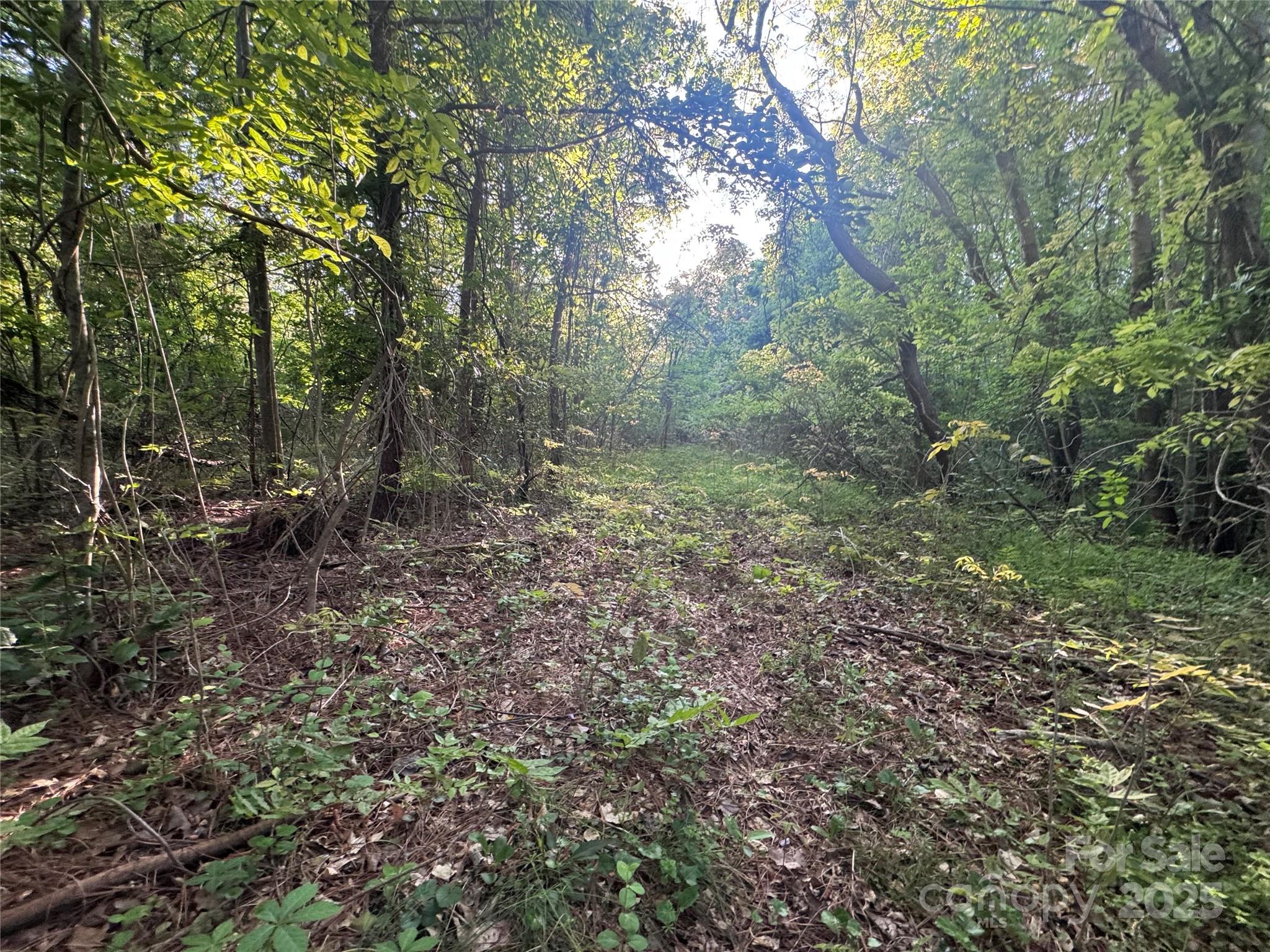 4675 Harmony Highway