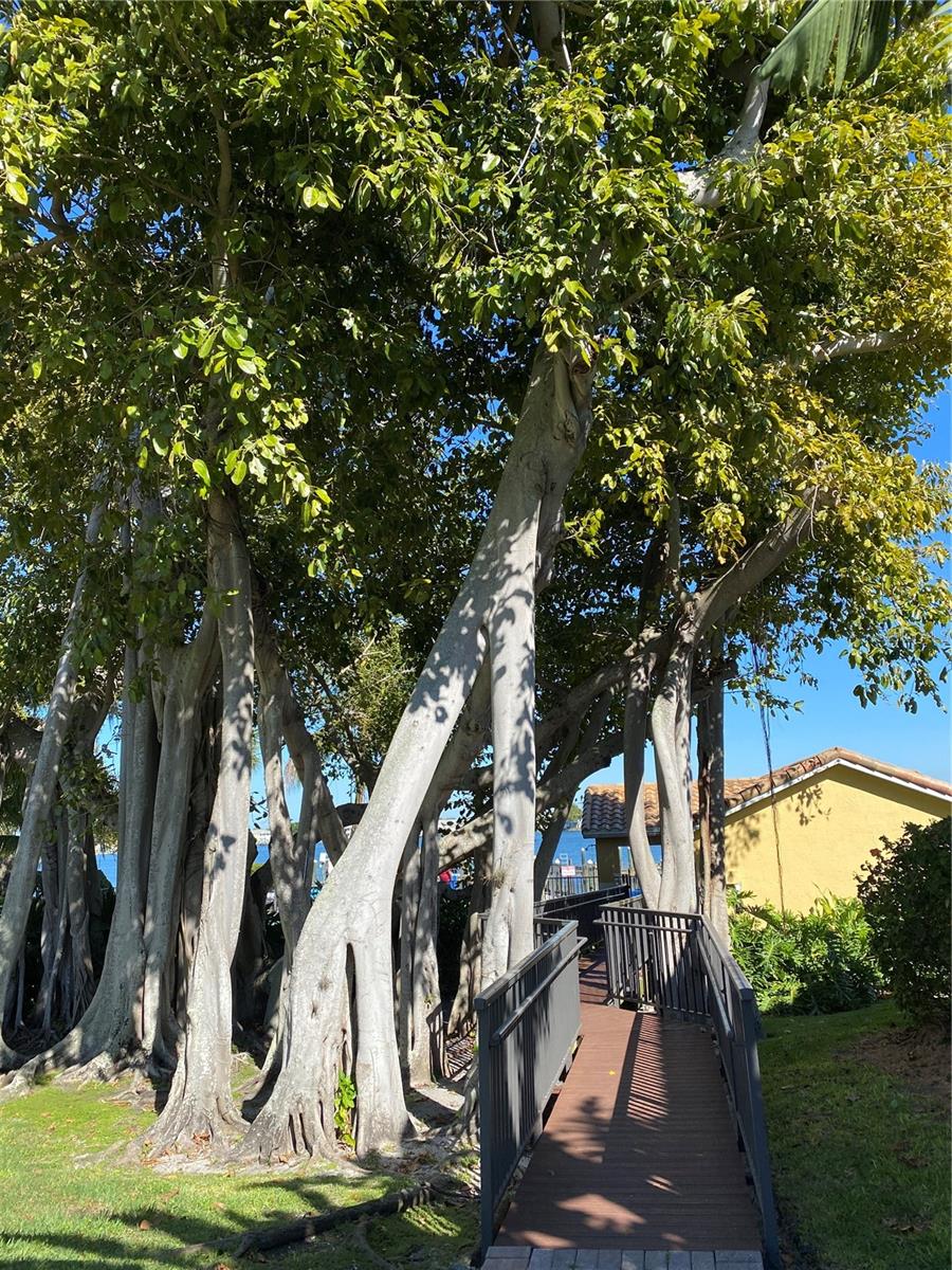 184 Banyan Bay Drive
