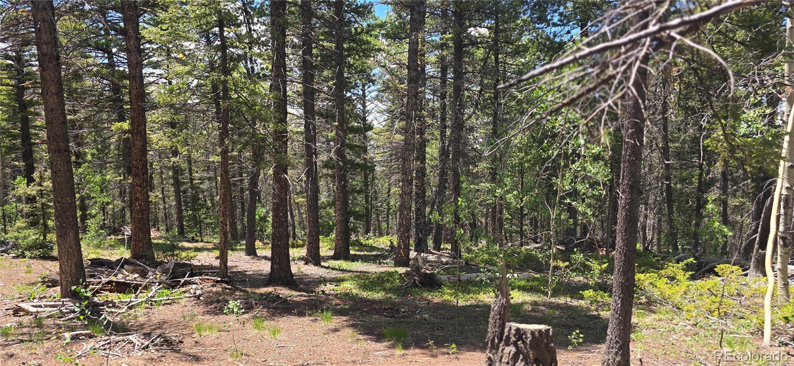 Lot 5778 Balleroy Road