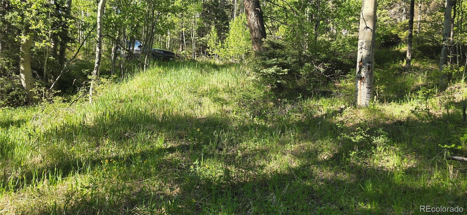 Lot 6385 Jaquez Road