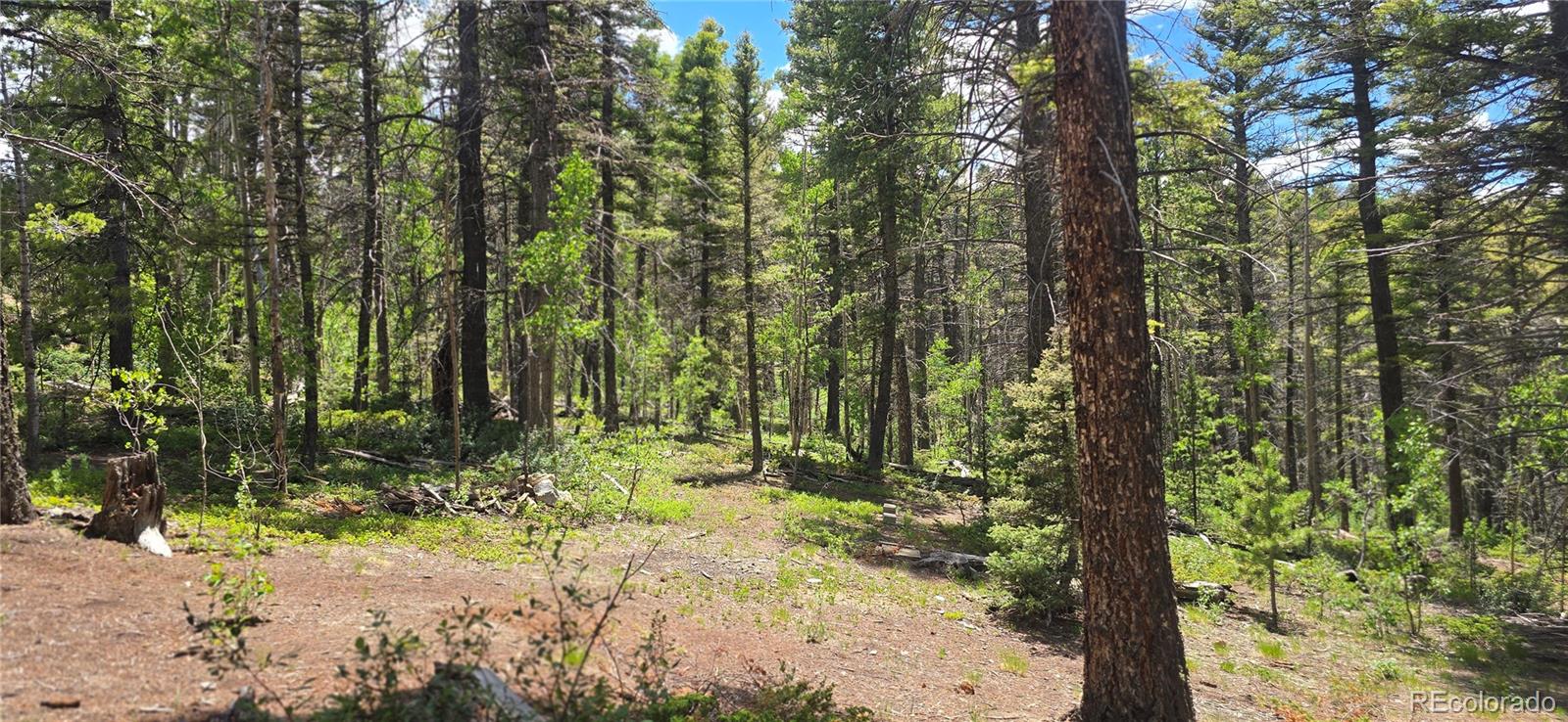 Lot 5778 Balleroy Road