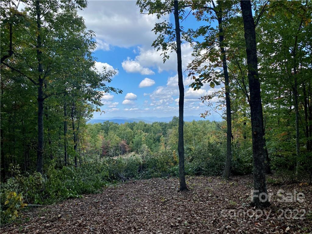 207 Mossy Oak Trail 166 & 167