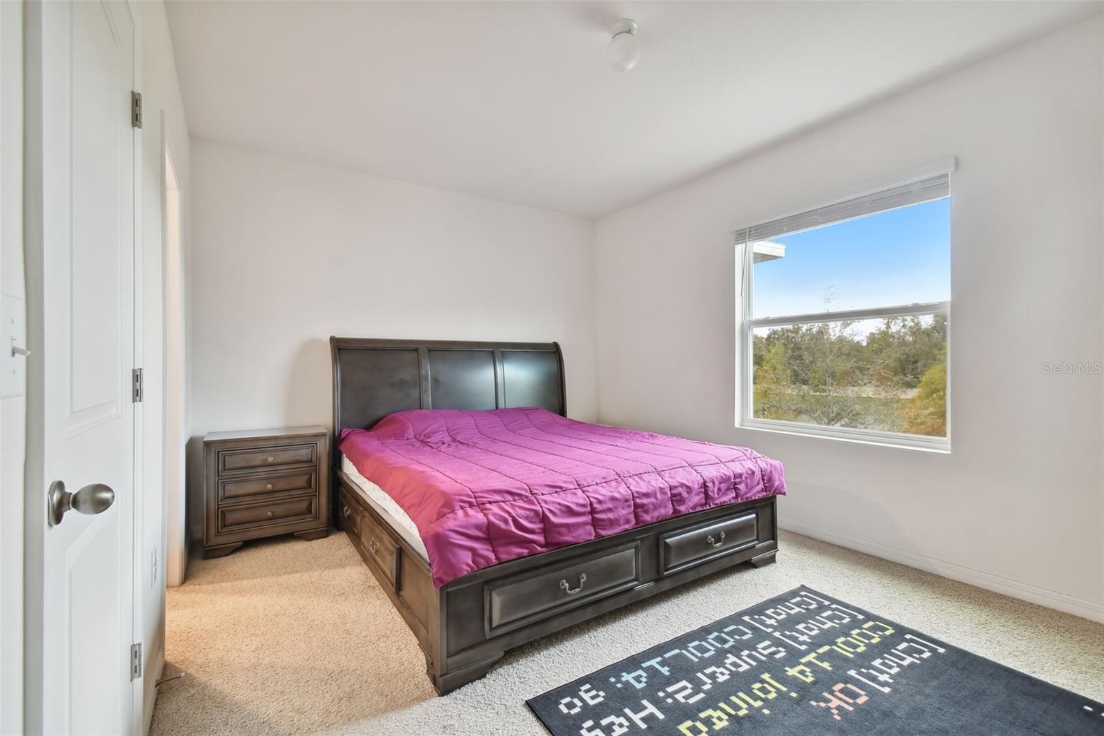 3230 Pleasant Willow Court