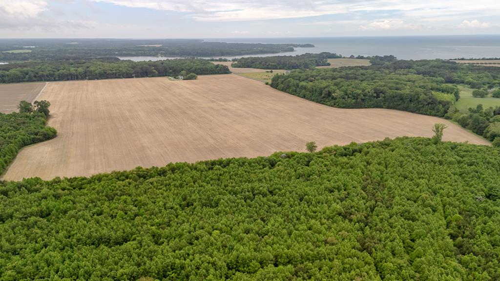 152.05 +- acre farm in Machipongo, Virginia, well-suited for agricultural, investment, or equestrian use. The property consists of approximately 93+- acres of cleared, tillable farmland and 59+- acres of mature wooded acreage, providing a balanced mix of productive ground and natural cover. Road frontage on two sides provides convenient access. The farm is zoned Agricultural and is located within the Agricultural and Forestal District (AFD), offering potential land-use and tax benefits. 1 year farming lease currently in place.