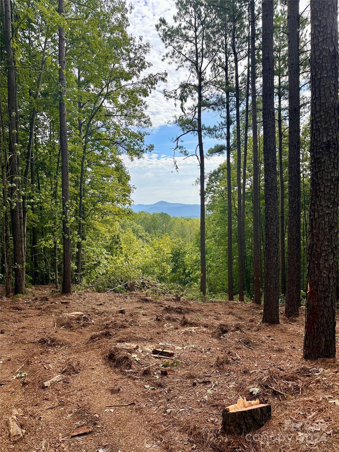 67 Dunn Trail 9