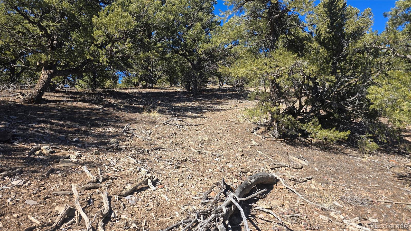 Lot 7527 Mcgillicuddy Road