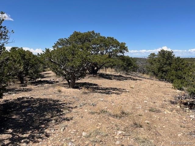 Lot 3306 Fontaine