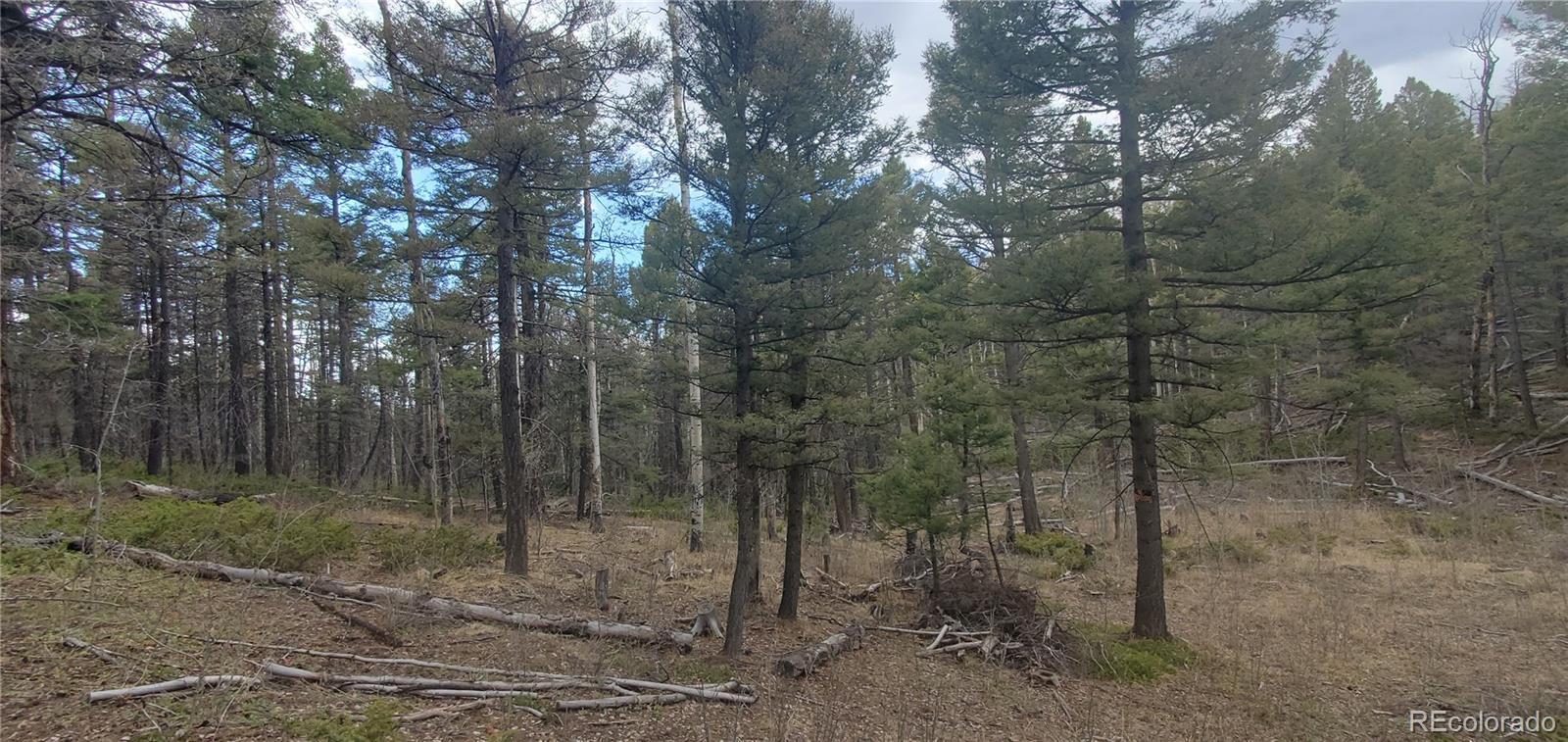 Lot 6090 Vreeland Road