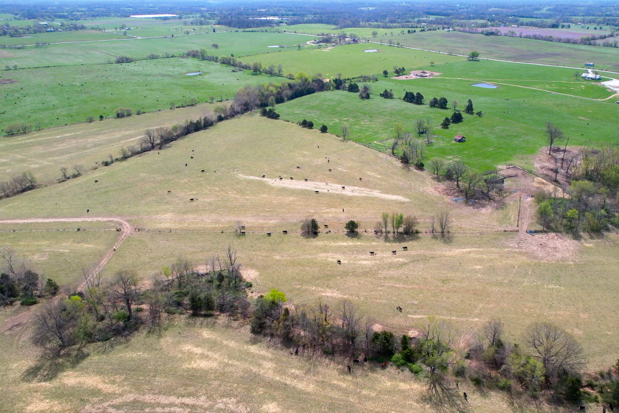 VACANT CATTLE RANCH GROUND WITH READY-TO-BUILD ON RANCH PROPERTYThis ready to build on vacant ranch property comes with an electric utility and existing well already onsite!  Currently utilized as a cattle property, it offers many possibilities.  Located outside the city of Crane in Barry County, Missouri in a great area with well-kept neighboring properties, this is a perfect place in a peaceful country setting to make home.  Just 5 miles to town and 30 minutes to Springfield makes it just right to enjoy the benefits of country living, but yet close enough to urban accessibility when needed.This 220 Acres features a terrain of rolling hills with mostly open pasture ground and scattered trees providing shade and shelter for livestock.  The topography is a perfect gently rolling slope throughout with minor elevation variances.  Approximately 85% of the overall acreage is in current productive pasture use with some small timbered areas including a number of ponds and a wet-weather creek system providing plenty of natural water sources.There are a number of grazing pastures which are border-fenced and cross-fenced.  This ranch currently produces approximately 1,500 4'x6' bales of hay per year.  There is also a key 30-acre field at the road front utilized for production of grass forage.  Grass such as alfalfa, orchard grass, clover, wheat, rye, and spring oats have all been grown in this field for livestock supplements.  The soil is fertile and conducive to supporting a variety of these specialty grasses. This property also comes equipped with an existing working pen and transition box with a concrete pad for a squeeze chute.  The Arrowquip 107 chute currently in place at this location is excluded in the property sale.  There are also remnants of an old homestead with a nostalgic root cellar, well, and electric accessibility providing a utility infrastructure already in place for building a homestead if so desired.Whether you are looking fo