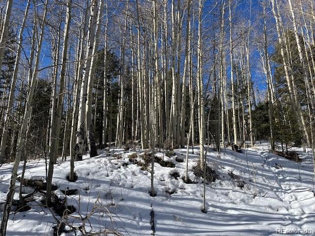 Lot 5252 Scott Road