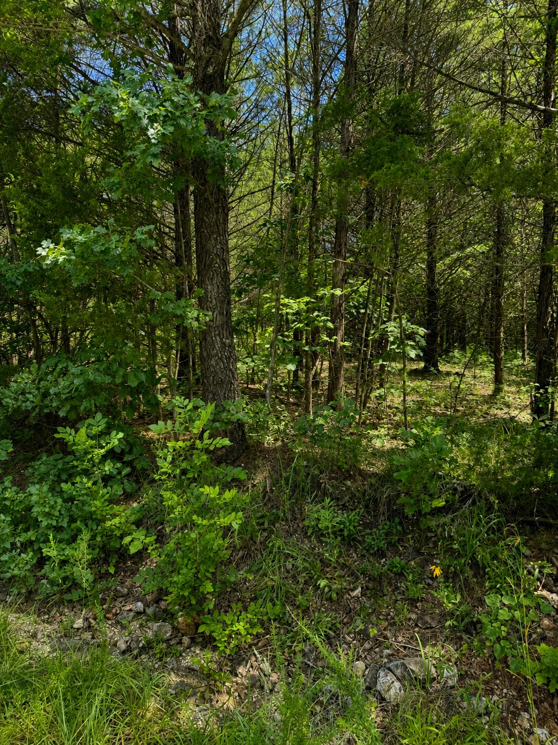 000 Falling Rock Road