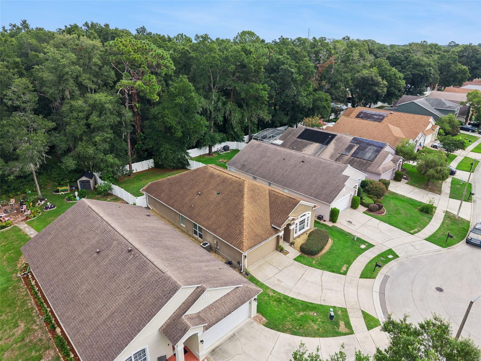 2019 Golden Ivy Way