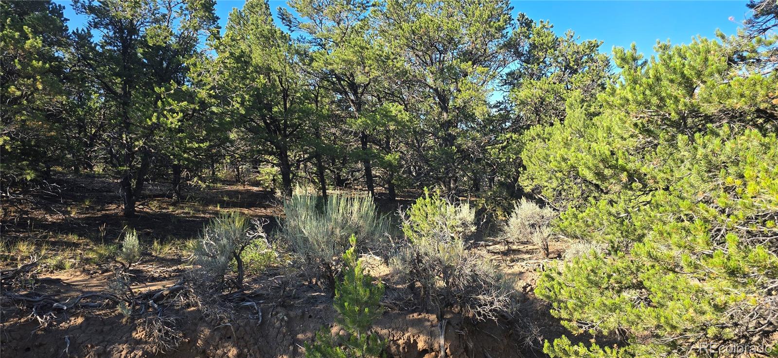 Lot 1362 Dunn Road